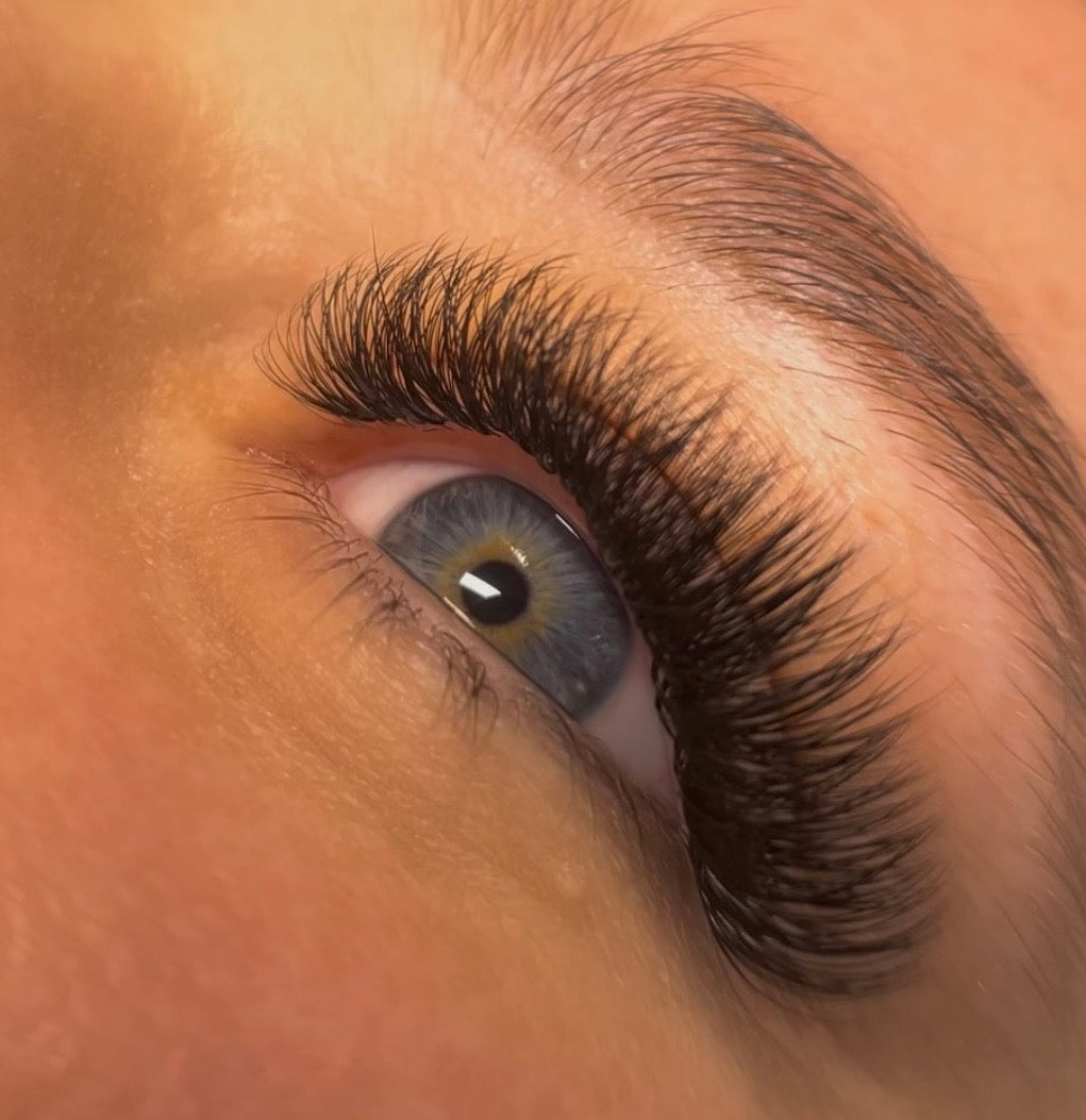 6D - boîte unique | 520 bouquets