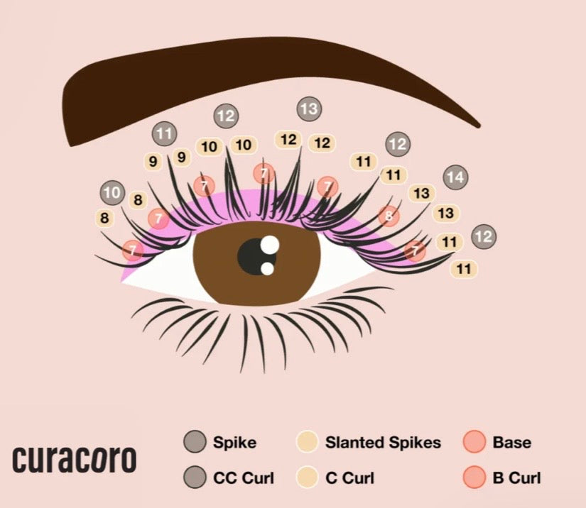 Bouquets fermés -> SPIKES POSE WIPSY 3D