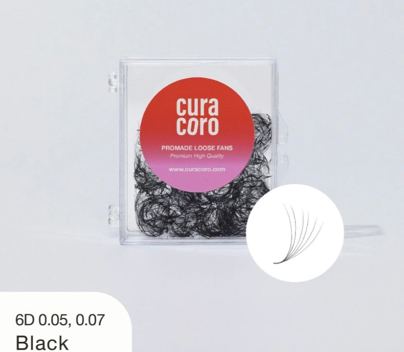 6D - boîte unique | 520 bouquets